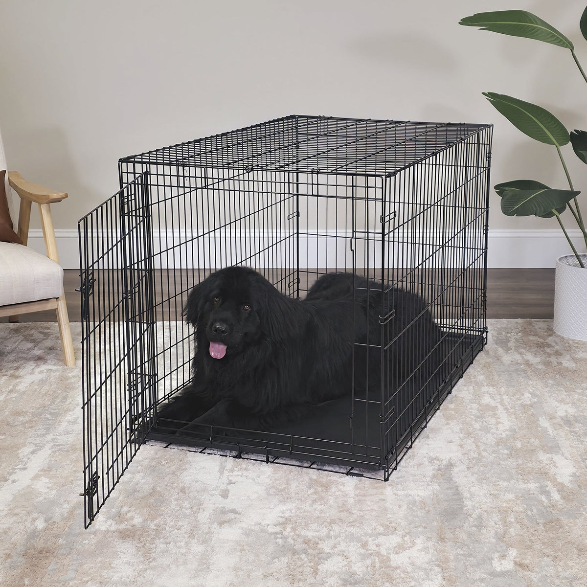 Foldable 48" Wire Crate for Dogs with Divider and Leak-Proof Tray