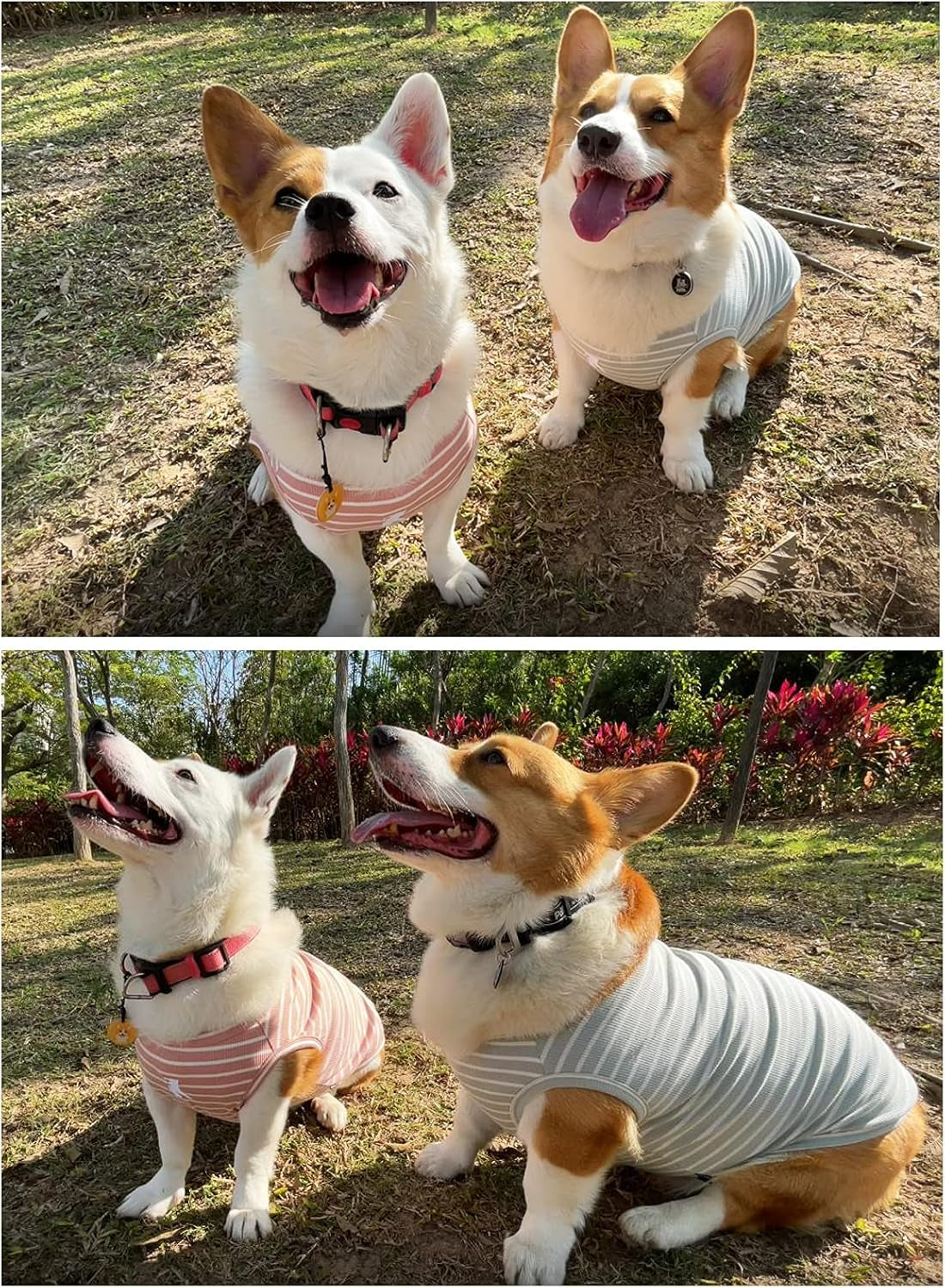 Dog Shirt Striped Lightweight Tank Top Stretchy - Pink & Green 5XL