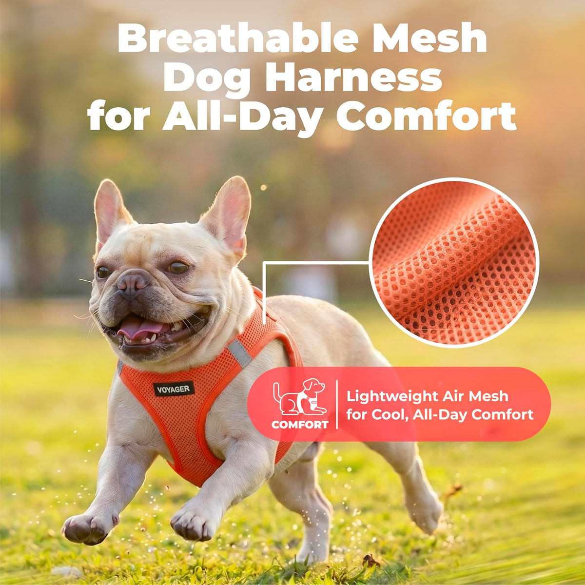 Voyager Step-In Air Dog Vest Harness - Orange, Xxx-Small