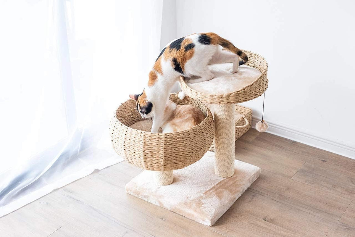 Modern Small Cat Tree with 2 Cat Beds, Handwoven Paper Rope Basket, Elevated Perch, Sisal Scratching Posts and Removable Washable Cushions, Beige