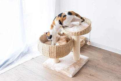 Modern Small Cat Tree with 2 Cat Beds, Handwoven Paper Rope Basket, Elevated Perch, Sisal Scratching Posts and Removable Washable Cushions, Beige