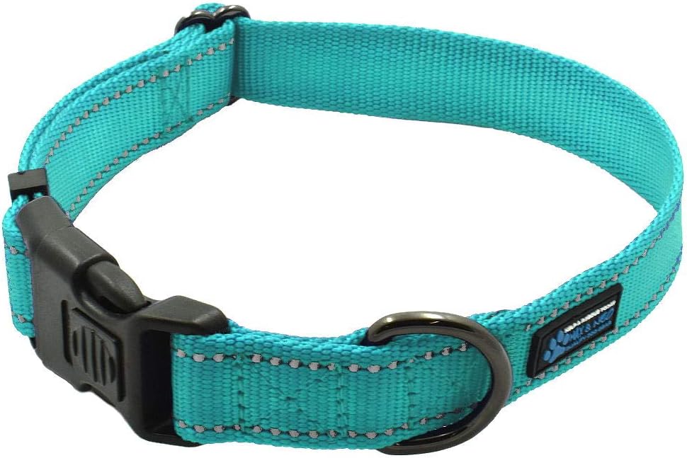 ™ NEO Nylon Buckle Reflective Dog Collar - We Donate a Collar to a Dog Rescue for Every Collar Sold (Medium, Teal)