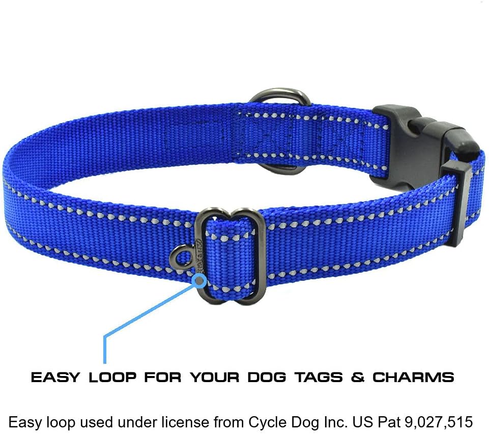 ™ NEO Nylon Buckle Reflective Dog Collar - We Donate a Collar to a Dog Rescue for Every Collar Sold (Medium, Teal)