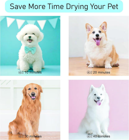 Dog Dryer for Pet Grooming, Pet Hair Dryer with Heater, Pink