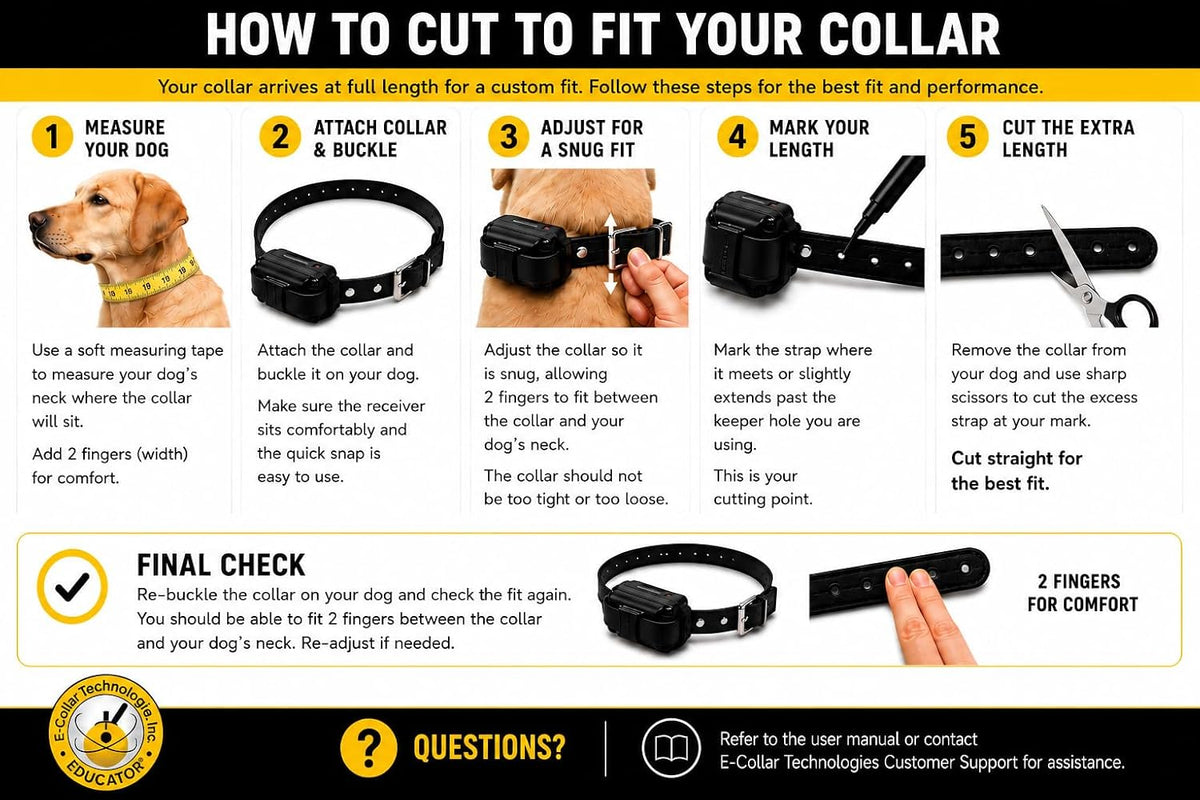 E-Collar ET-300 Mini  Dog Training Collar & Finger Clicker, Yellow
