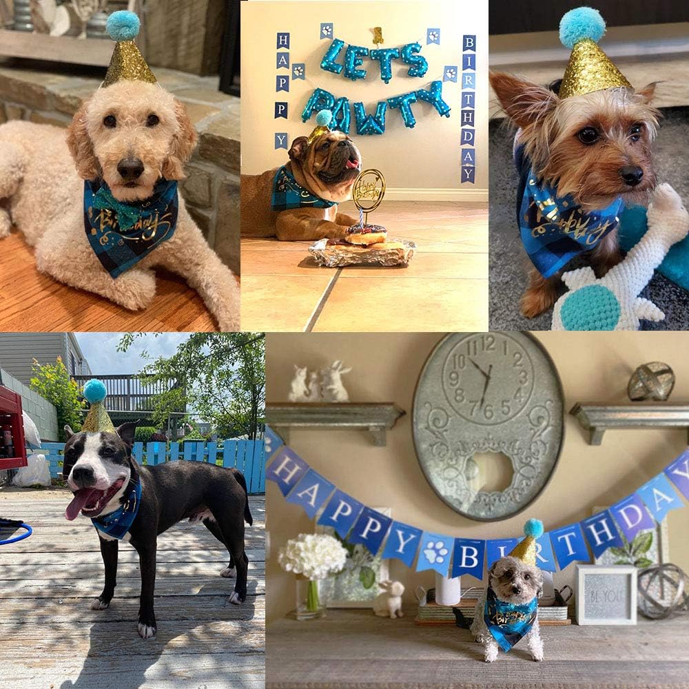 Boy Dog Birthday Bandana Hat Set, Blue, Small & Medium & Large