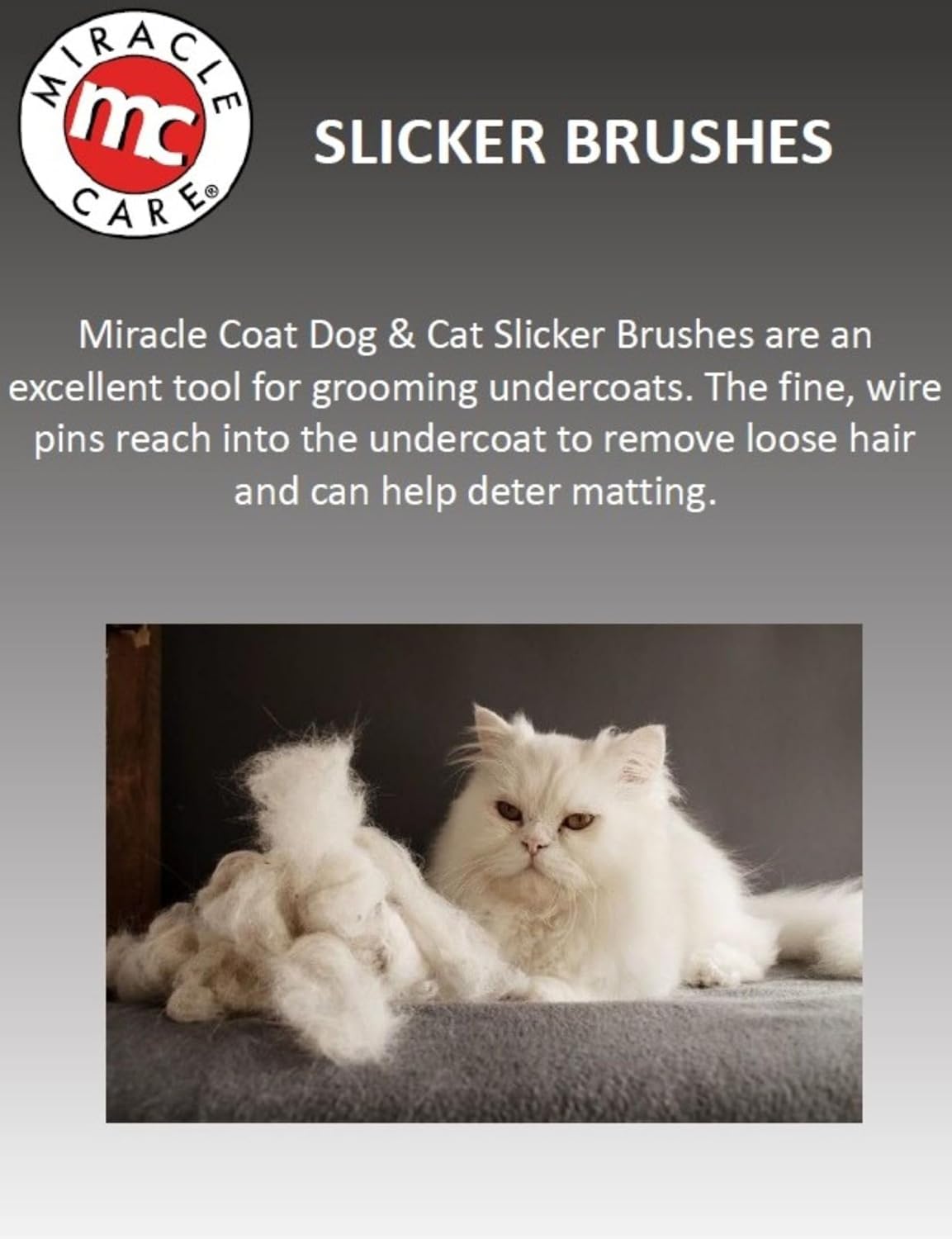 Small Slicker Brush for Cats