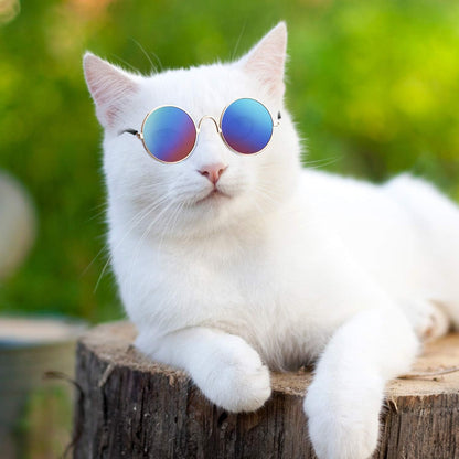 6 Pcs Cat Sunglasses Pet Glasses, Black and Mix Reflective Color