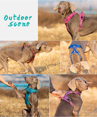 Dog Harness No Pull Nylon Reflective Pet Harness Adjustable Comfortable Control Step-In Brilliant Colors Truelove TLH56512 Orange