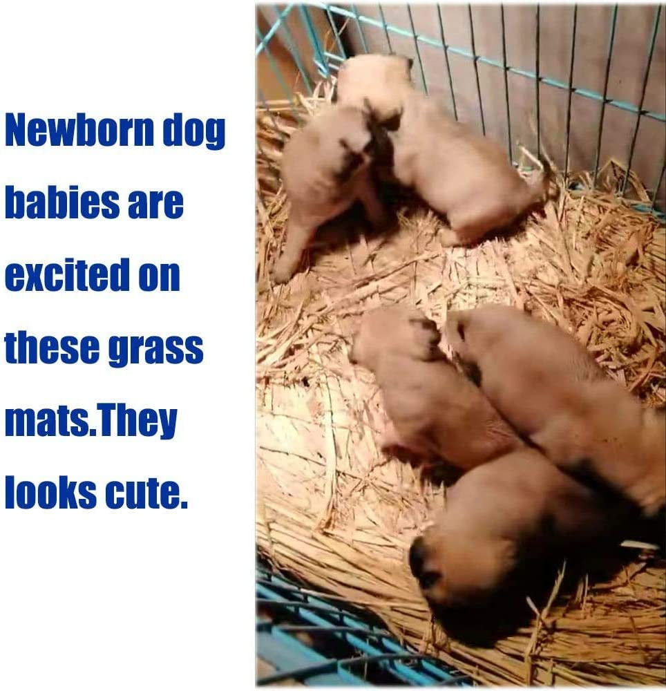Grass Mat for Rabbit Woven Bed Mat Bunny Chew Toys (12PCS)