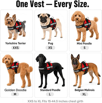 Therapy Dog Vest Harness, Reflective, 2 Patches, XL Black