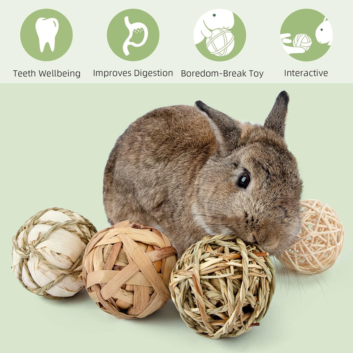 Small Animals Play Activity Balls Rolling Chew Toys(Pack of 8)