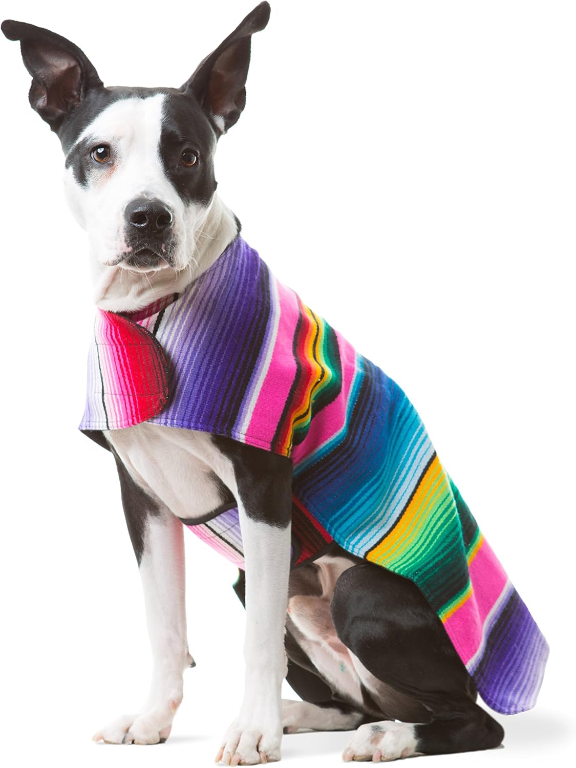Dog Clothes - Handmade Dog Poncho from Authentic Mexican Blanket by  (Pink, Small)
