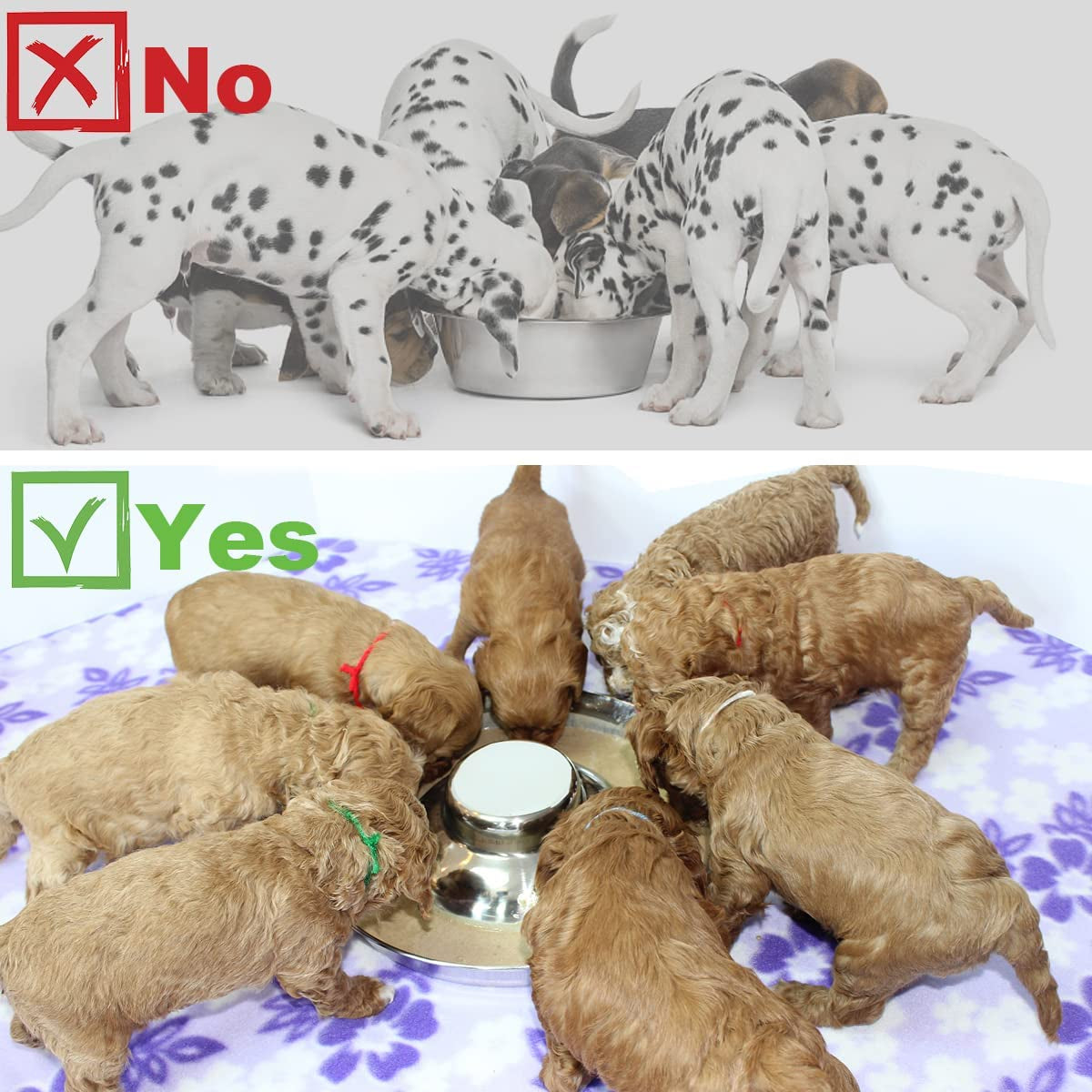 Stainless Steel Puppy Dog Bowls, Pets Puppies Feeding Food and Water Weaning Bowls Dishes Feeder, 11.8 Inch