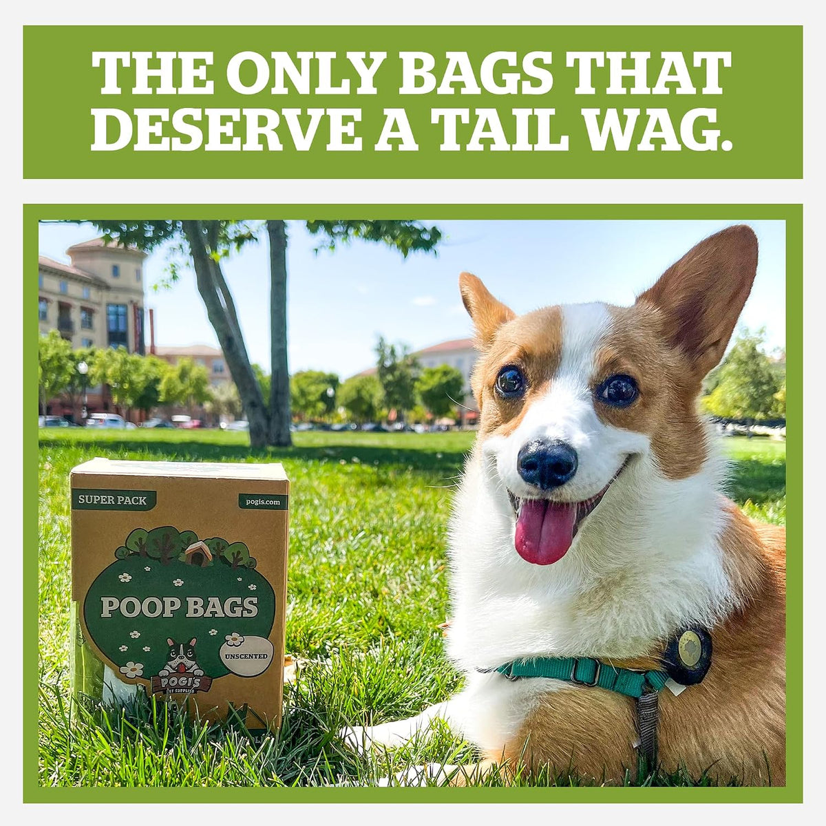 Pogi'S Large Dog Poop Bags with Handles, Unscented, Extra Thick, 900 Bags