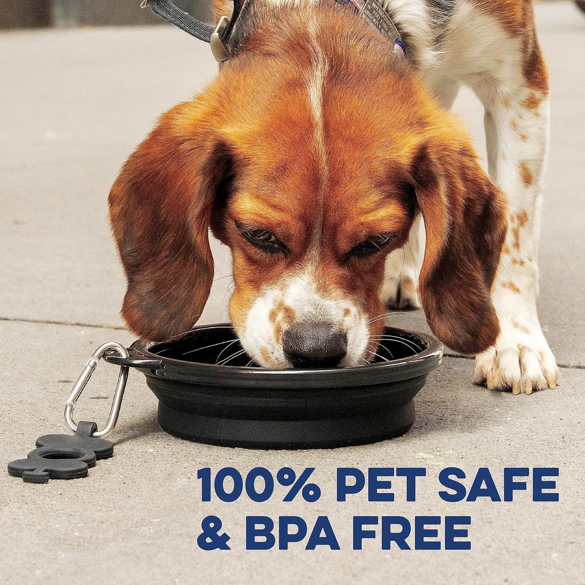 Collapsible Dog Water Bowl - Bpa-Free Silicone Dog Dish - Reinforced Rim Collapsible Bowl - Carabiner Clip Travel Dishes for Pets - for Hiking, Camping & Car Trips - Large 33 Oz, Navy Blue