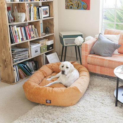Micro Velvet Dog Bed, 52 Inch X-Large, Round, Washable, Azure