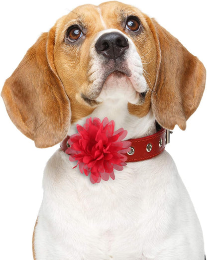 20 Pcs 4.7 Inch Dog Collar Flowers Bow, Multicolored