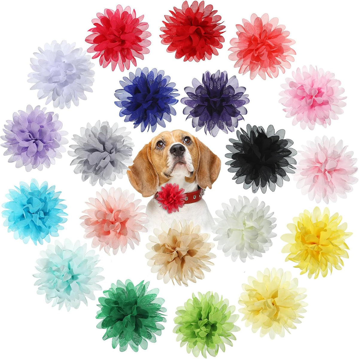 20 Pcs 4.7 Inch Dog Collar Flowers Bow, Multicolored